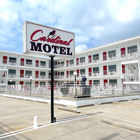 נורת' וויילדווד Cardinal Motel מראה חיצוני תמונה